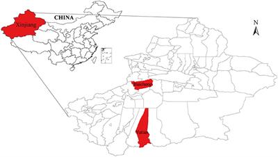 The First Genomic Analysis of Visna/Maedi Virus Isolates in China